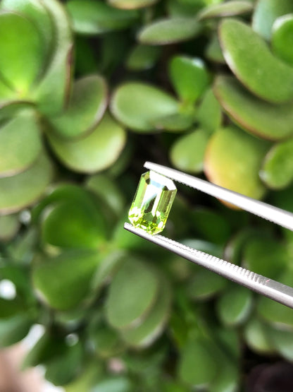 Peridoto Pakistan 1.90 Ct