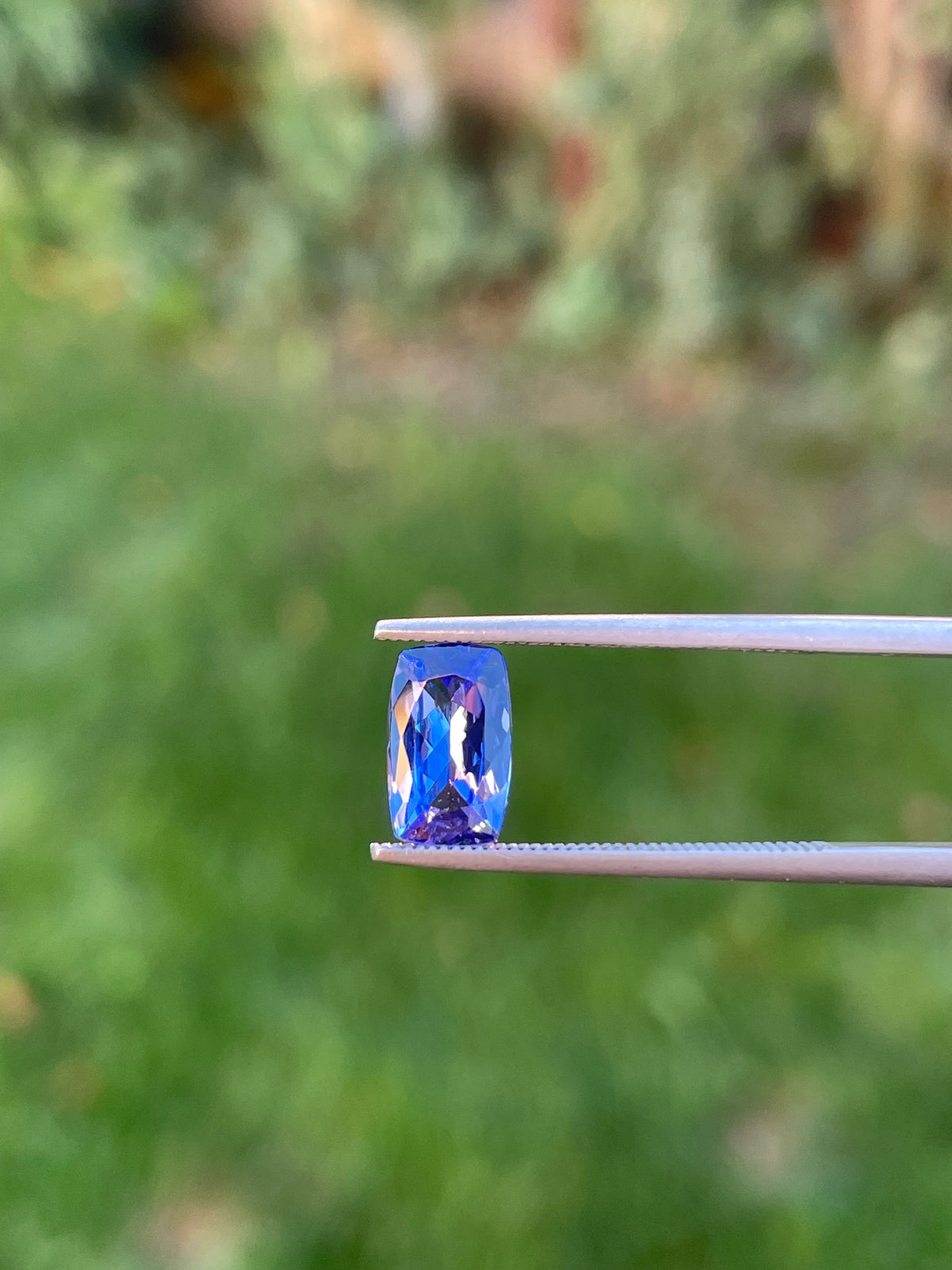 Tanzanite 1.44 Ct