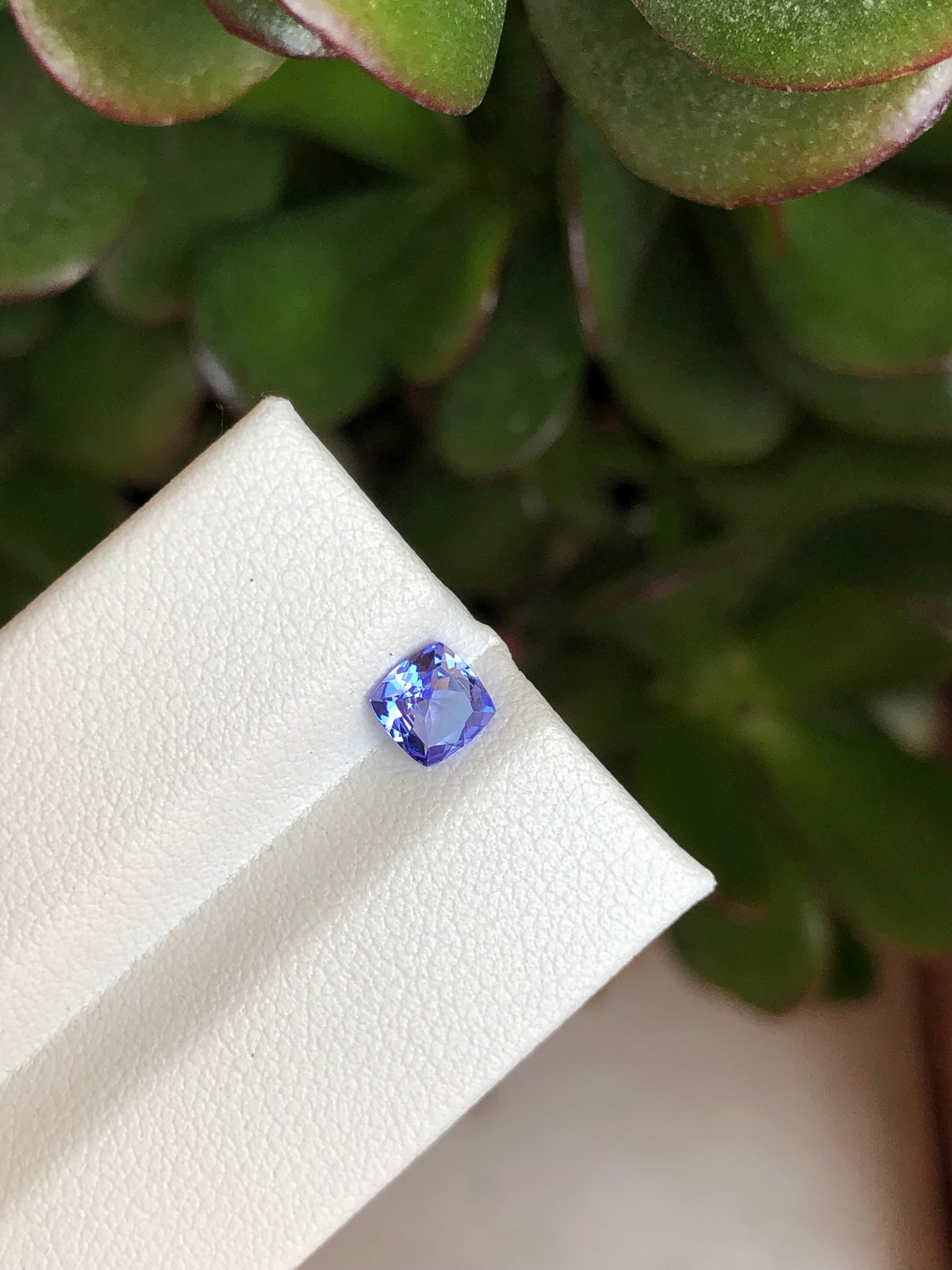Tanzanite 0.52 Ct