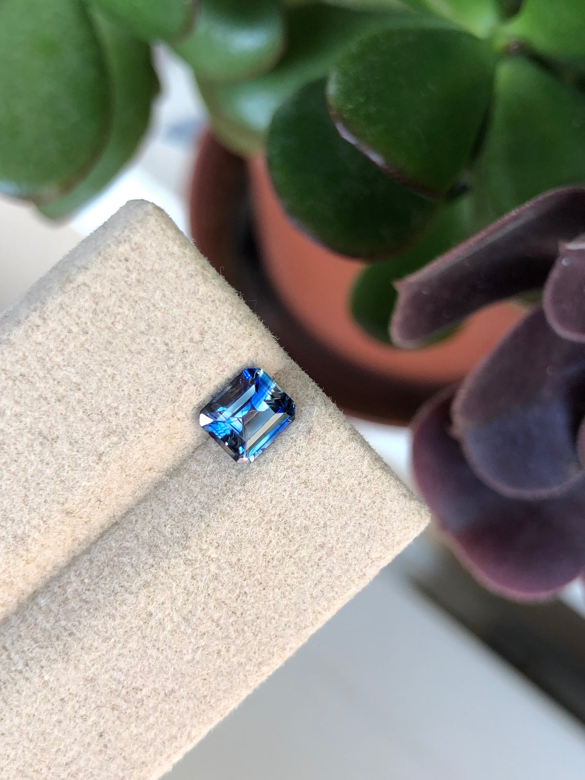 Zaffiro Bicolore Sri Lanka 1.05 ct