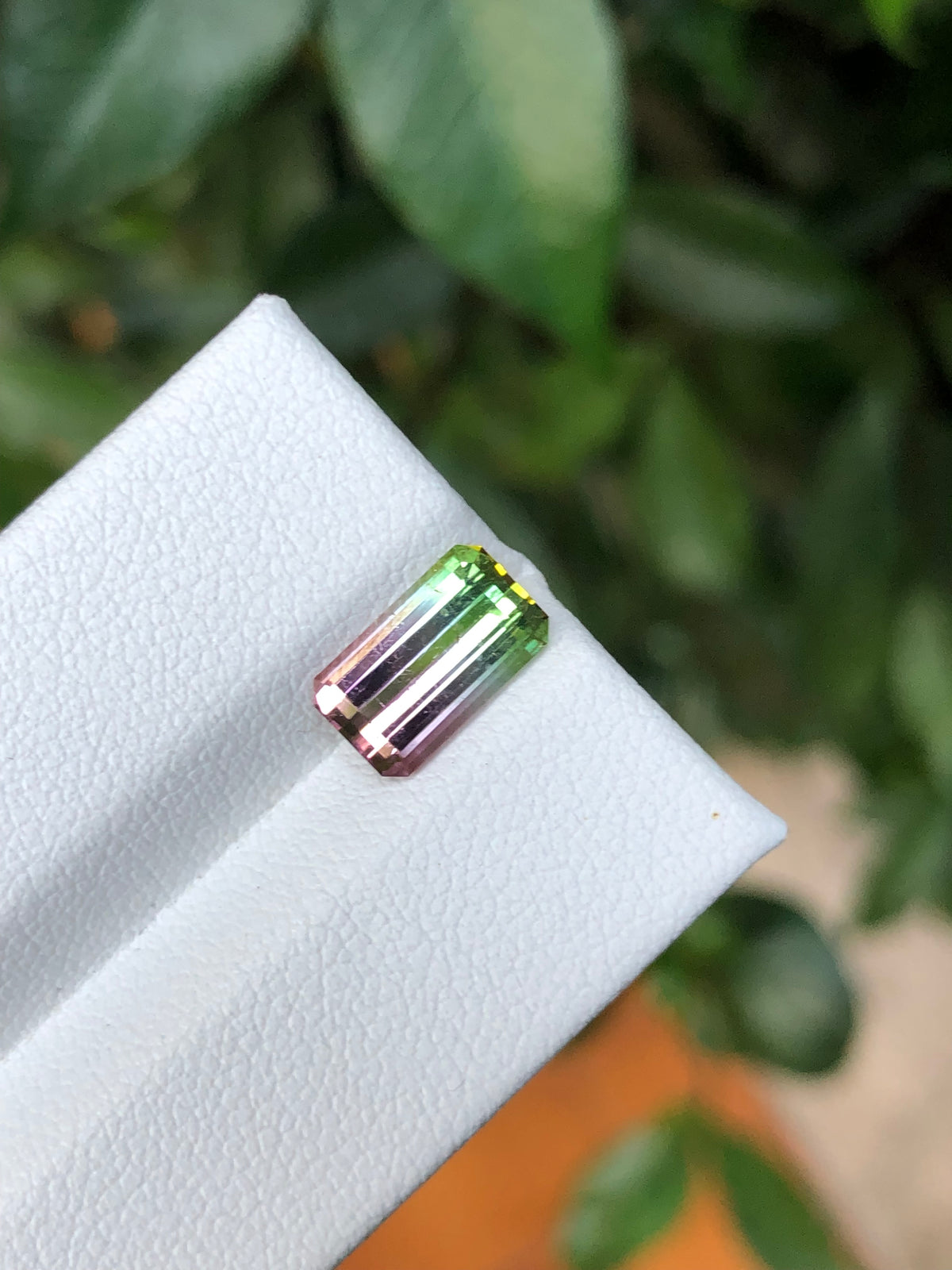 Tormalina Watermelon 2.10 Ct Afghanistan