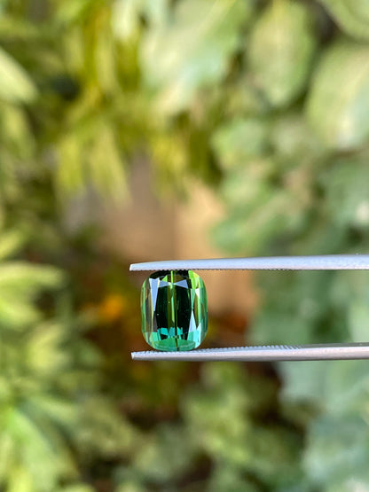 Tormalina 4.39 Ct