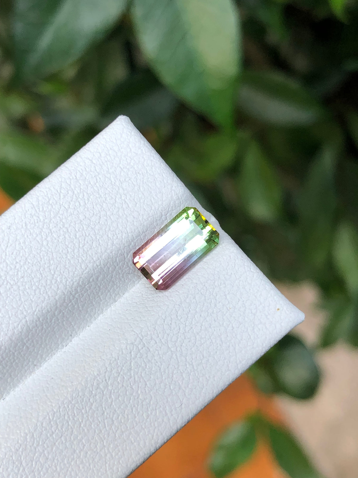 Tormalina Watermelon 2.10 Ct Afghanistan