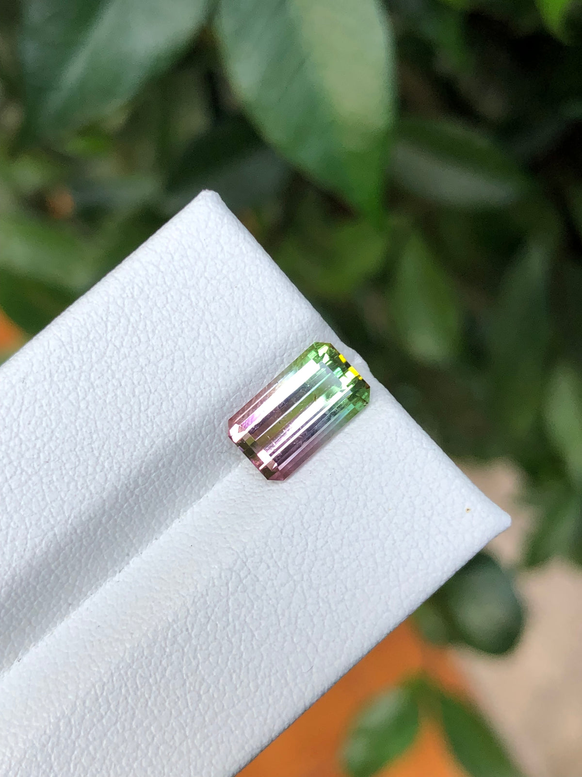 Tormalina Watermelon 2.10 Ct Afghanistan