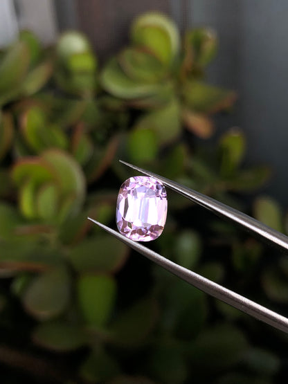Kunzite Afghanistan 4.30 Ct
