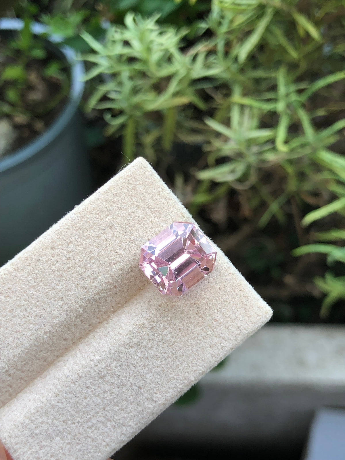 Kunzite Afghanistan 7.51 ct