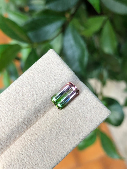 Tormalina Watermelon 2.10 Ct Afghanistan