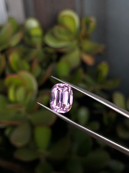 Kunzite Afghanistan 4.30 Ct