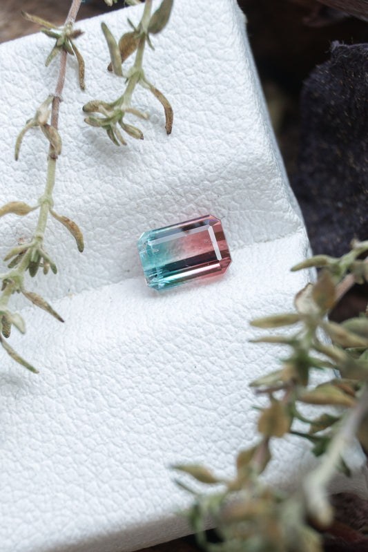 Tormalina Bicolore Afghanistan 0.68 Ct.