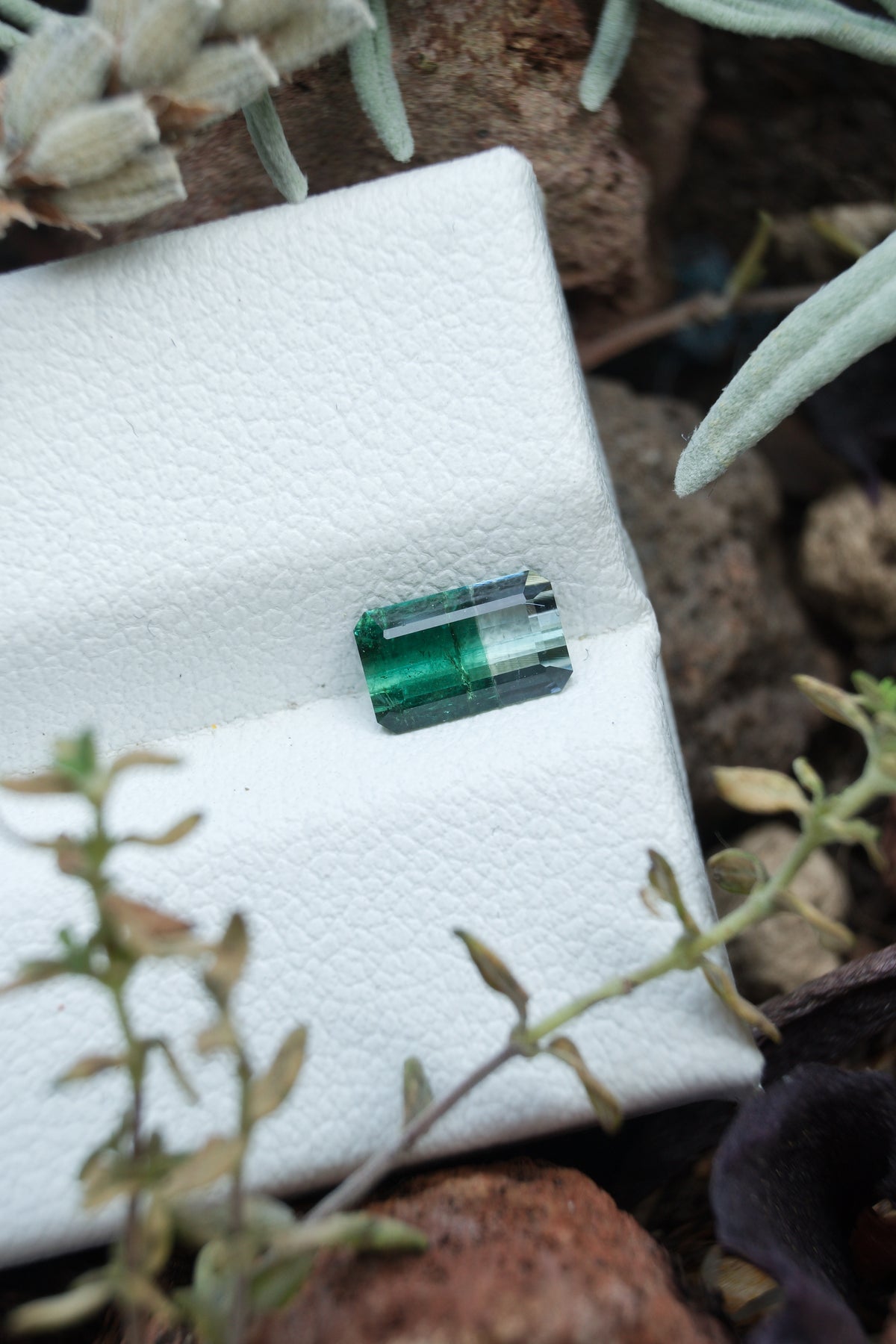 Natural Green Bicolor Tourmaline 0.63 ct, Afghanistan