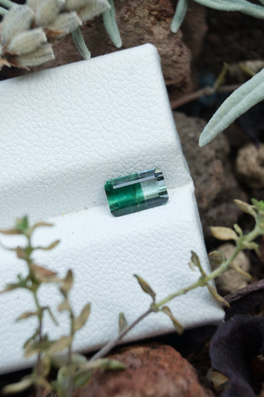 Natural Green Bicolor Tourmaline 0.63 ct, Afghanistan