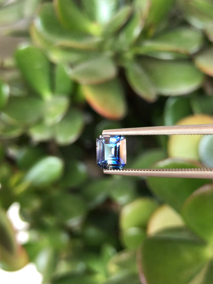 Zaffiro Bicolore Sri Lanka 1.05 ct