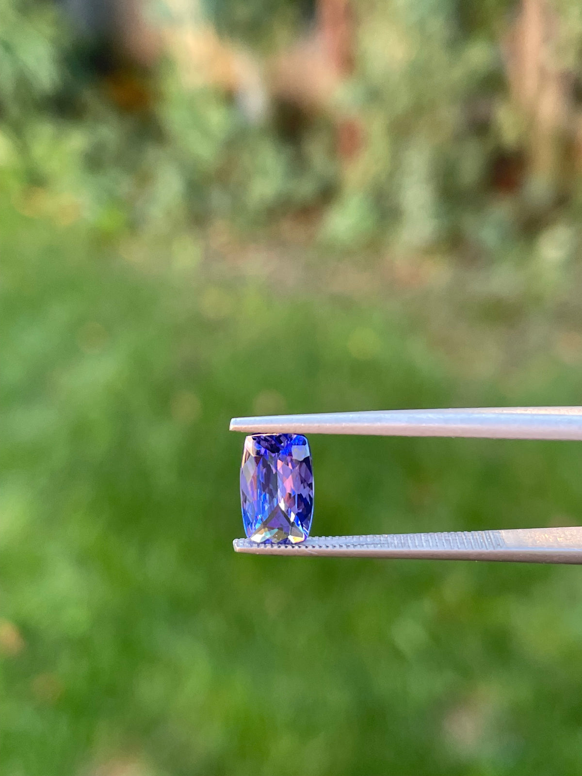 Tanzanite 1.44 Ct
