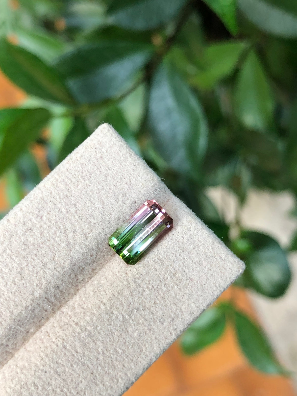 Tormalina Watermelon 2.10 Ct Afghanistan