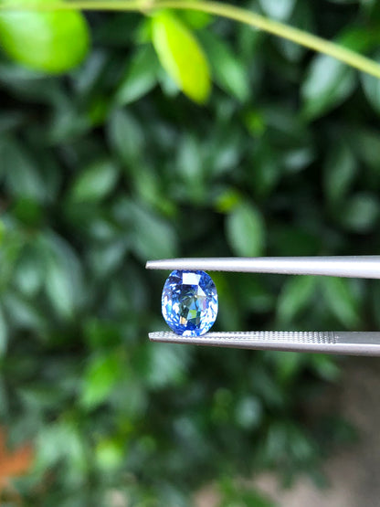 Zaffiro Ceylon 100% naturale 2.01 Ct