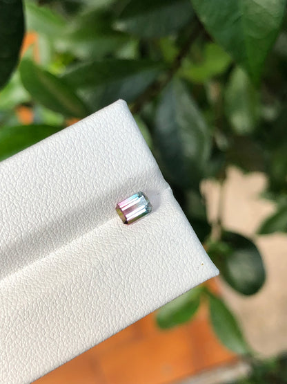 Tormalina Bicolore Afghanistan 0.68 Ct.