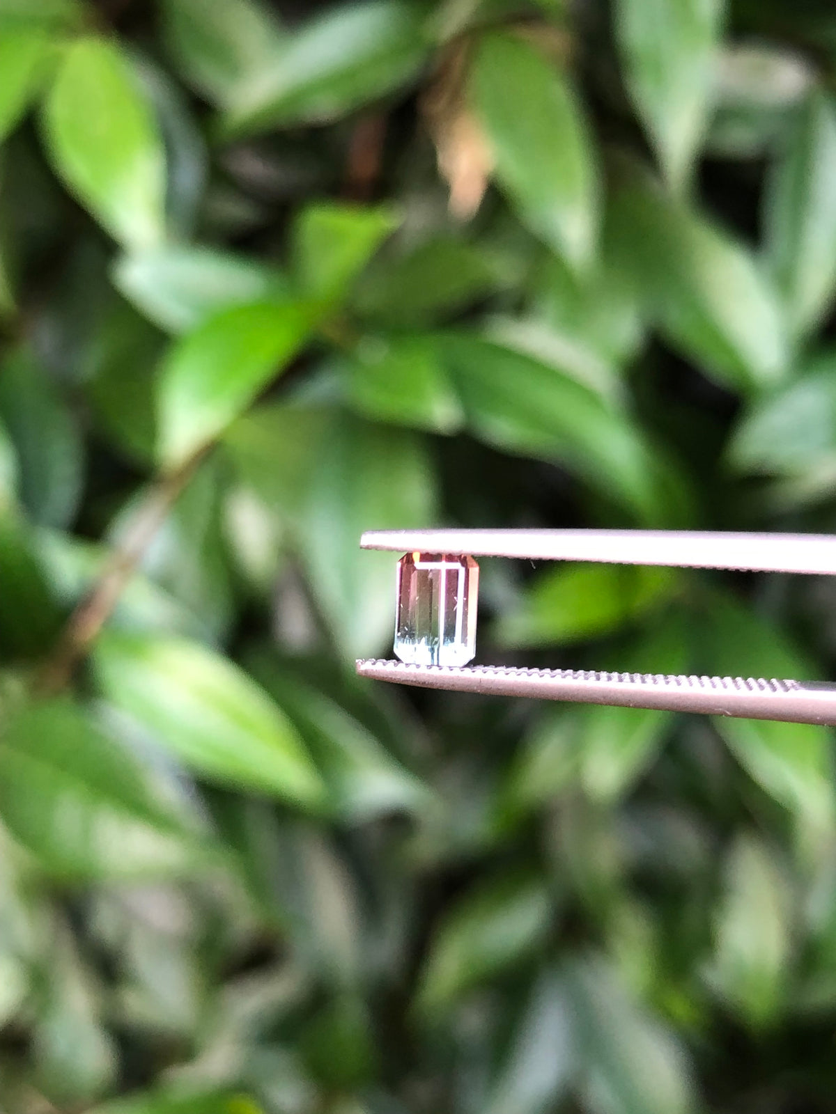 Tormalina Bicolore Afghanistan 0.68 Ct.