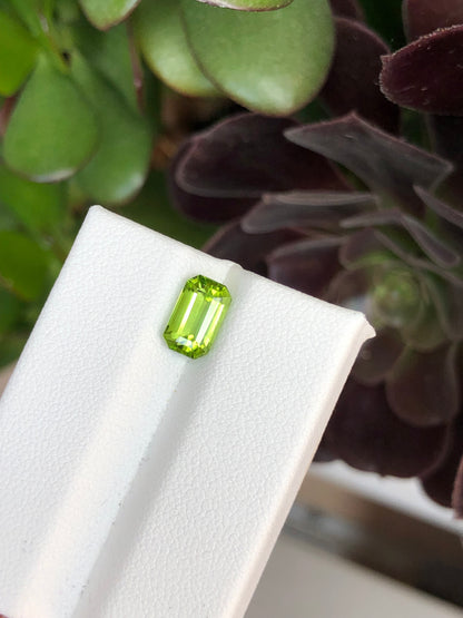 Peridoto Pakistan 1.90 Ct