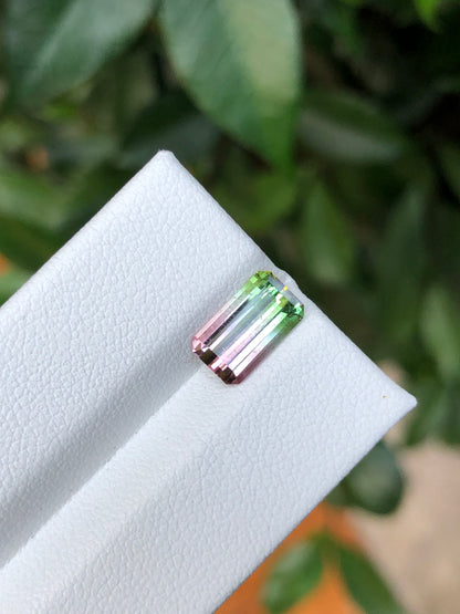 Tormalina Watermelon 2.10 Ct Afghanistan