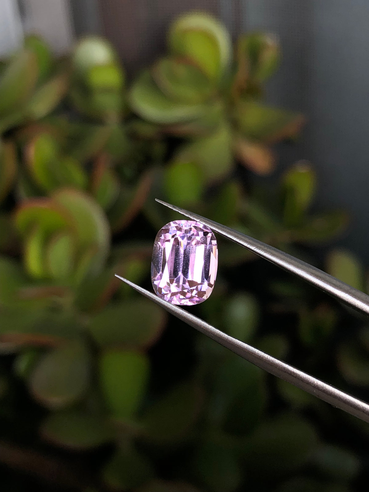 Kunzite Afghanistan 4.30 Ct
