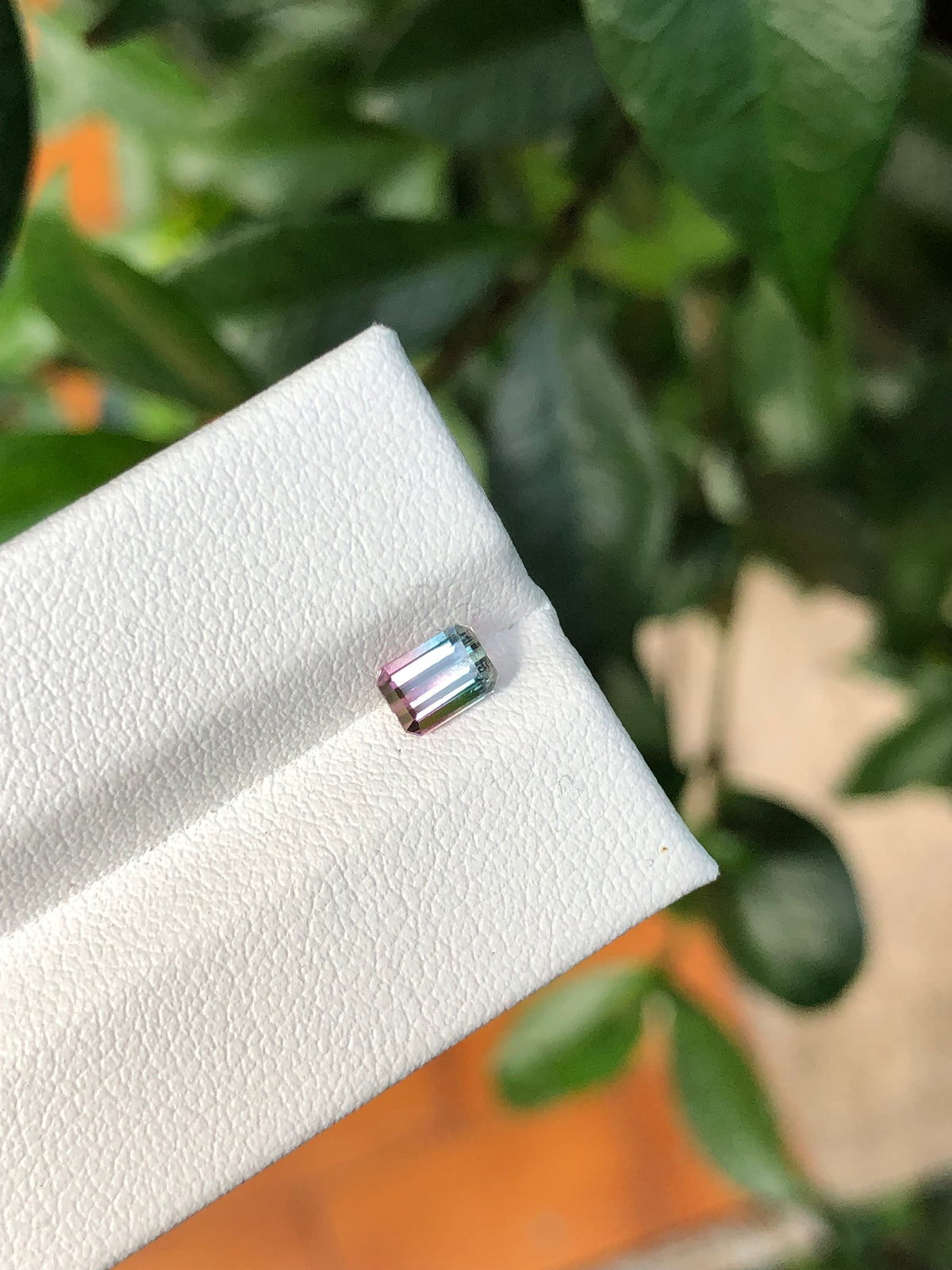 Tormalina Bicolore Afghanistan 0.68 Ct.