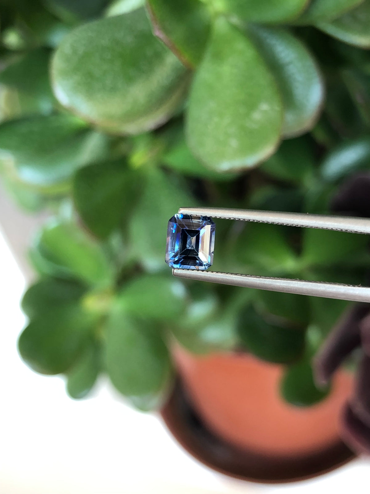 Zaffiro Bicolore Sri Lanka 1.05 ct