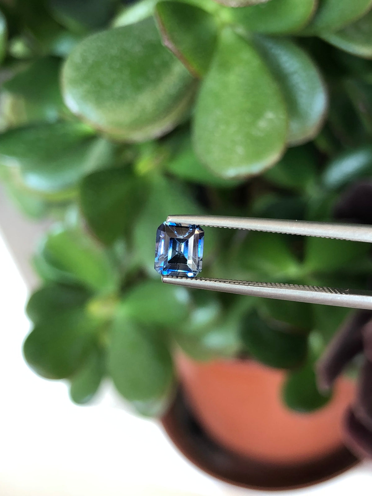 Zaffiro Bicolore Sri Lanka 1.05 ct