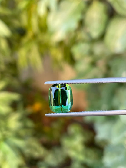 Tormalina 4.39 Ct