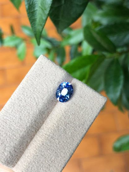 Zaffiro Ceylon 100% naturale 2.01 Ct
