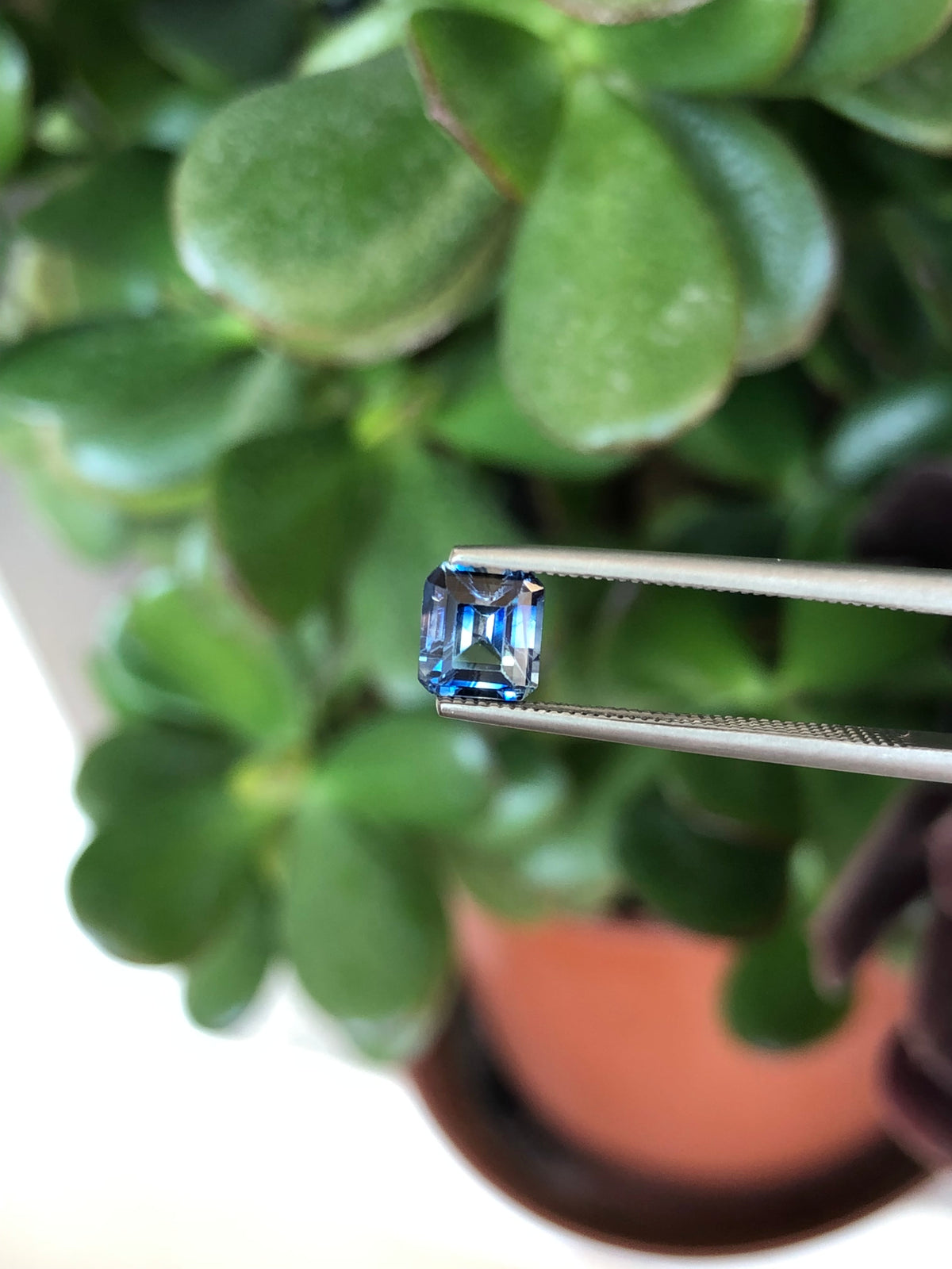 Zaffiro Bicolore Sri Lanka 1.05 ct