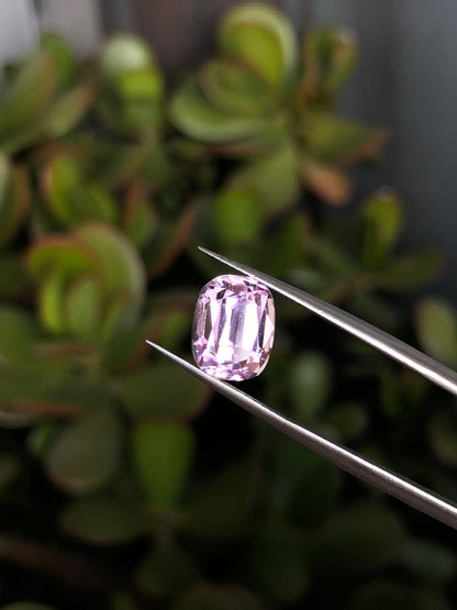 Kunzite Afghanistan 4.30 Ct