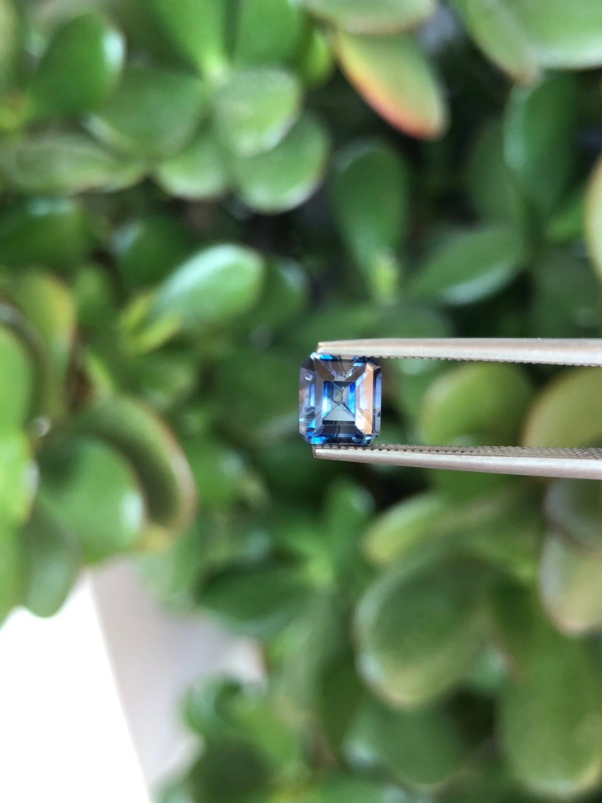Zaffiro Bicolore Sri Lanka 1.05 ct
