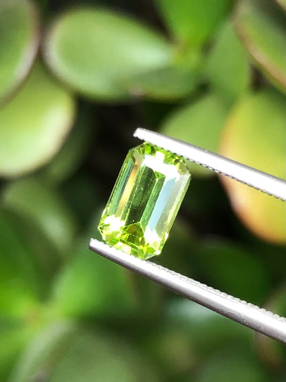 Peridoto Pakistan 1.90 Ct