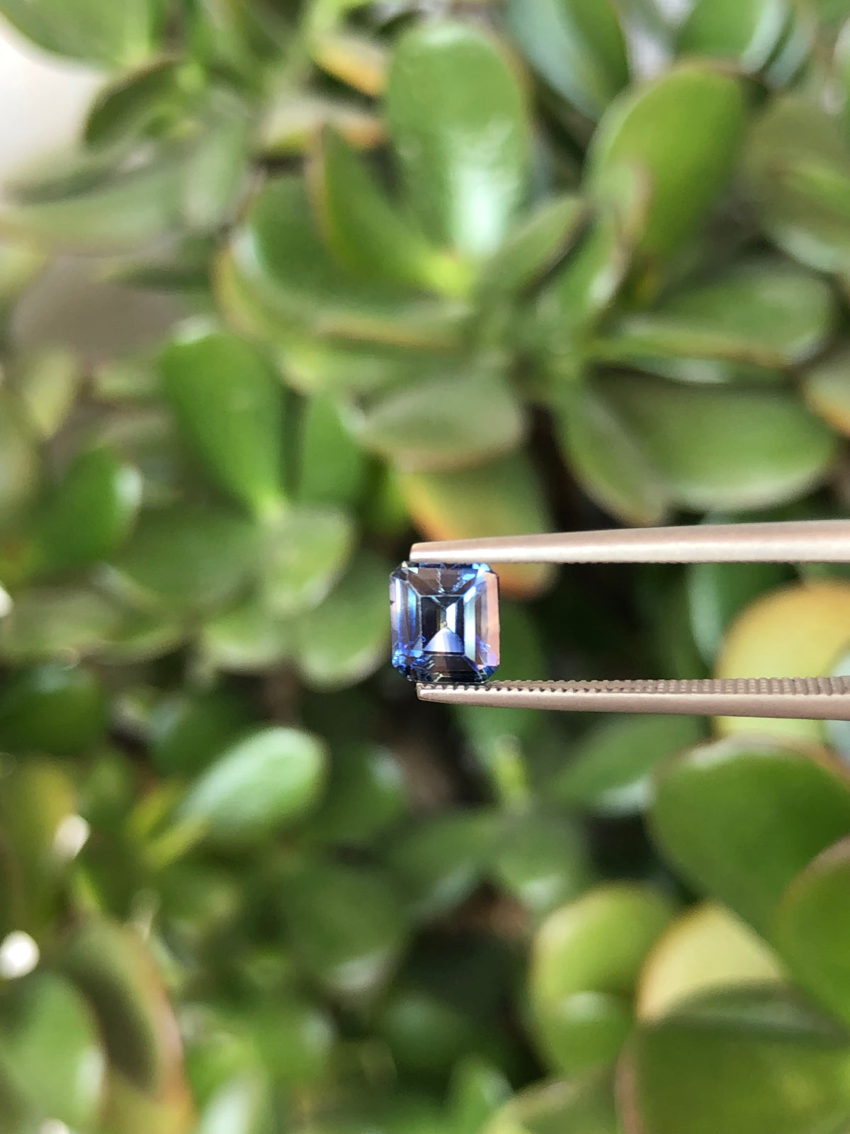 Zaffiro Bicolore Sri Lanka 1.05 ct