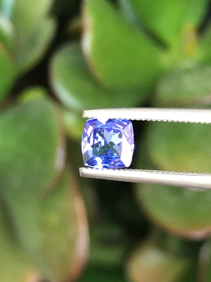 Tanzanite 0.52 Ct