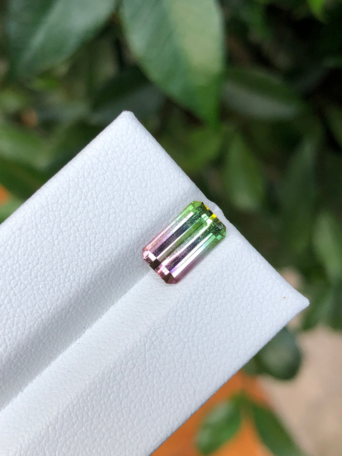 Tormalina Watermelon 2.10 Ct Afghanistan