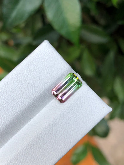 Tormalina Watermelon 2.10 Ct Afghanistan