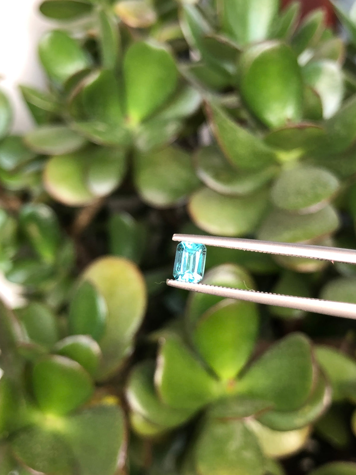 Tormalina Lagoon Madagascar 0.50 Ct