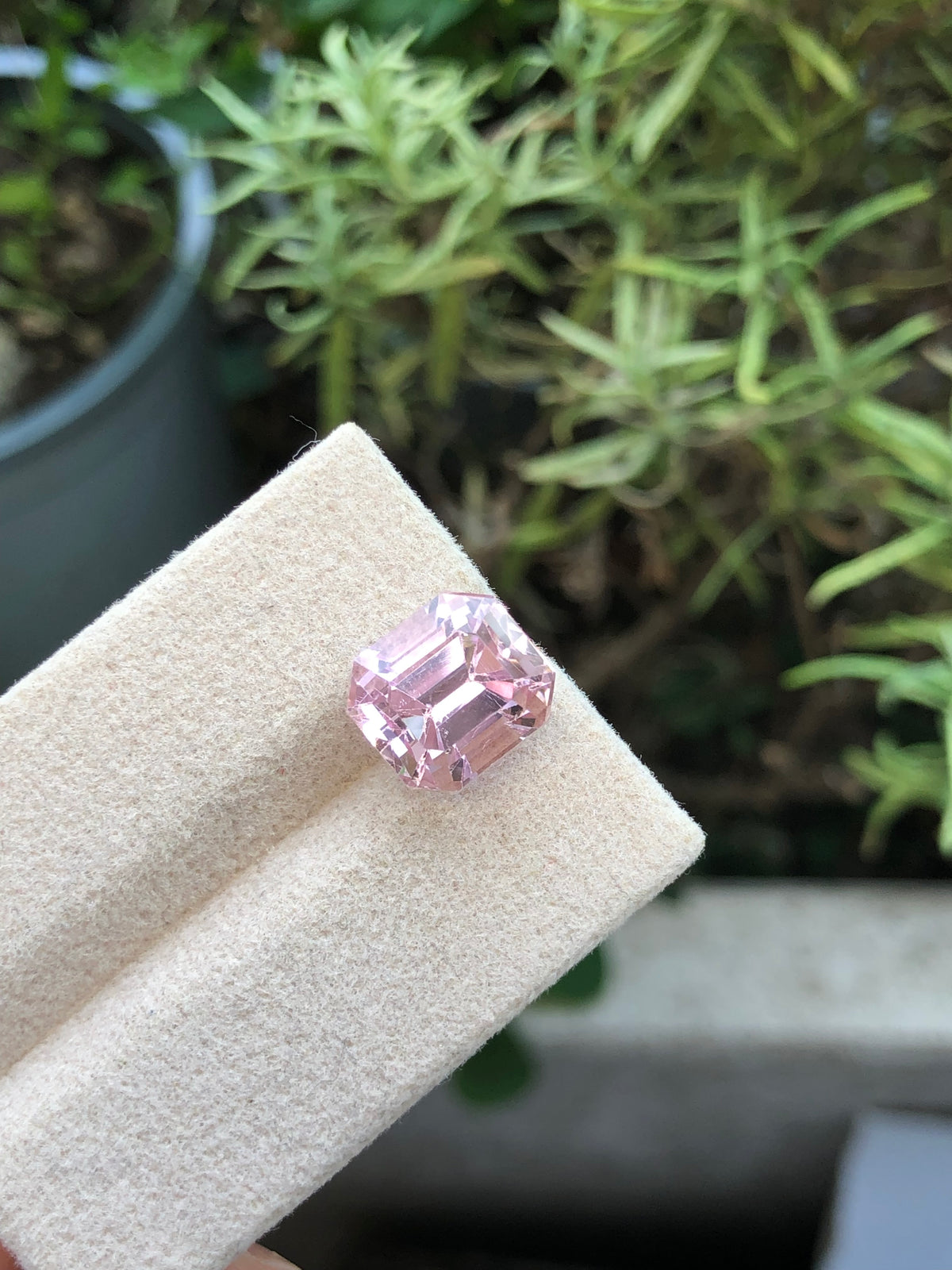 Kunzite Afghanistan 7.51 ct