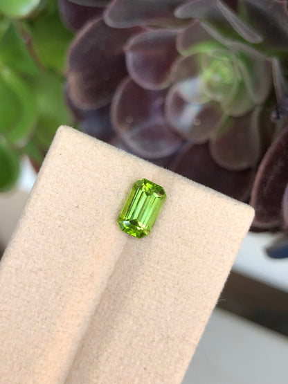 Peridoto Pakistan 1.90 Ct