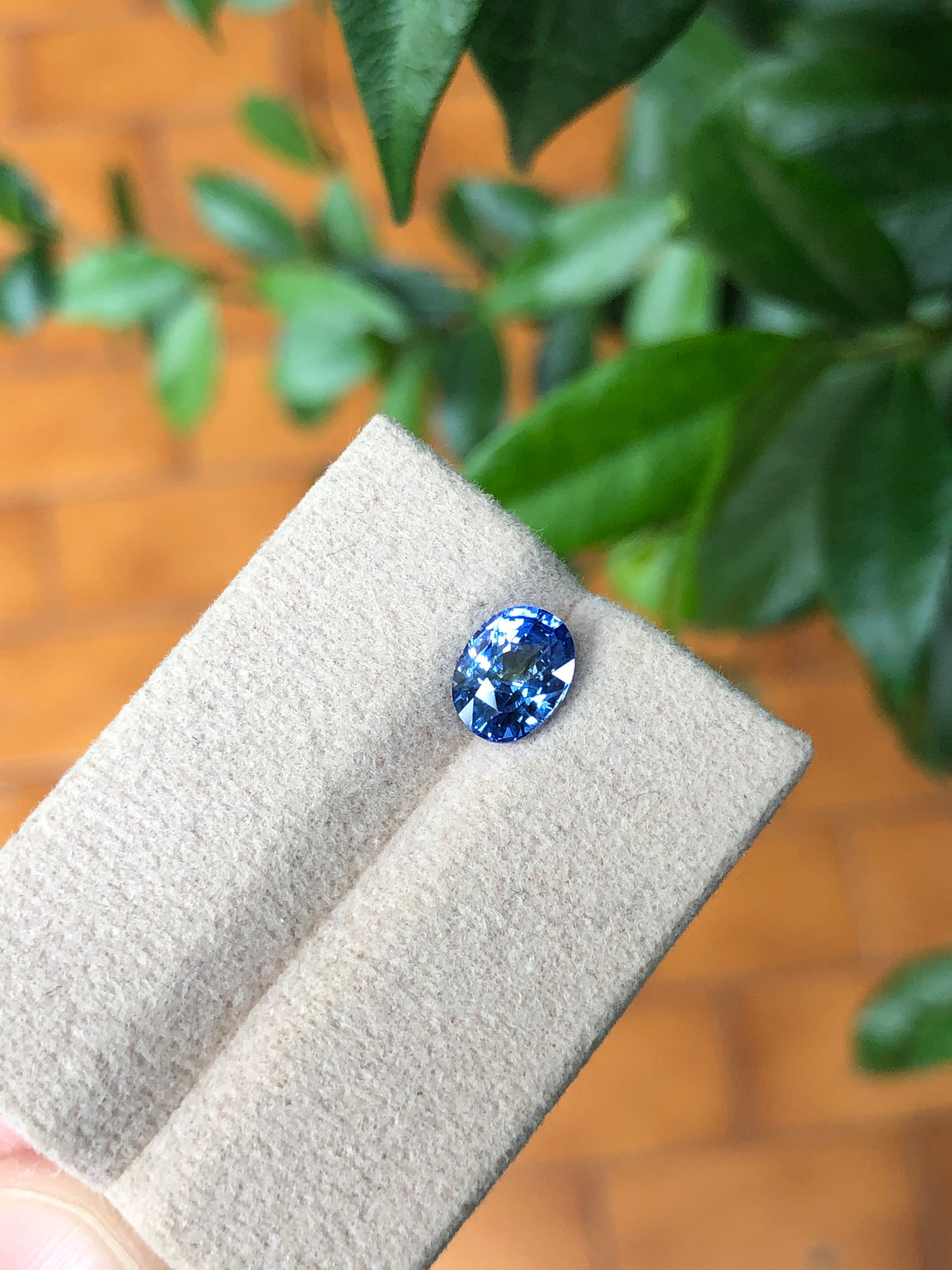 Zaffiro Ceylon 100% naturale 2.01 Ct