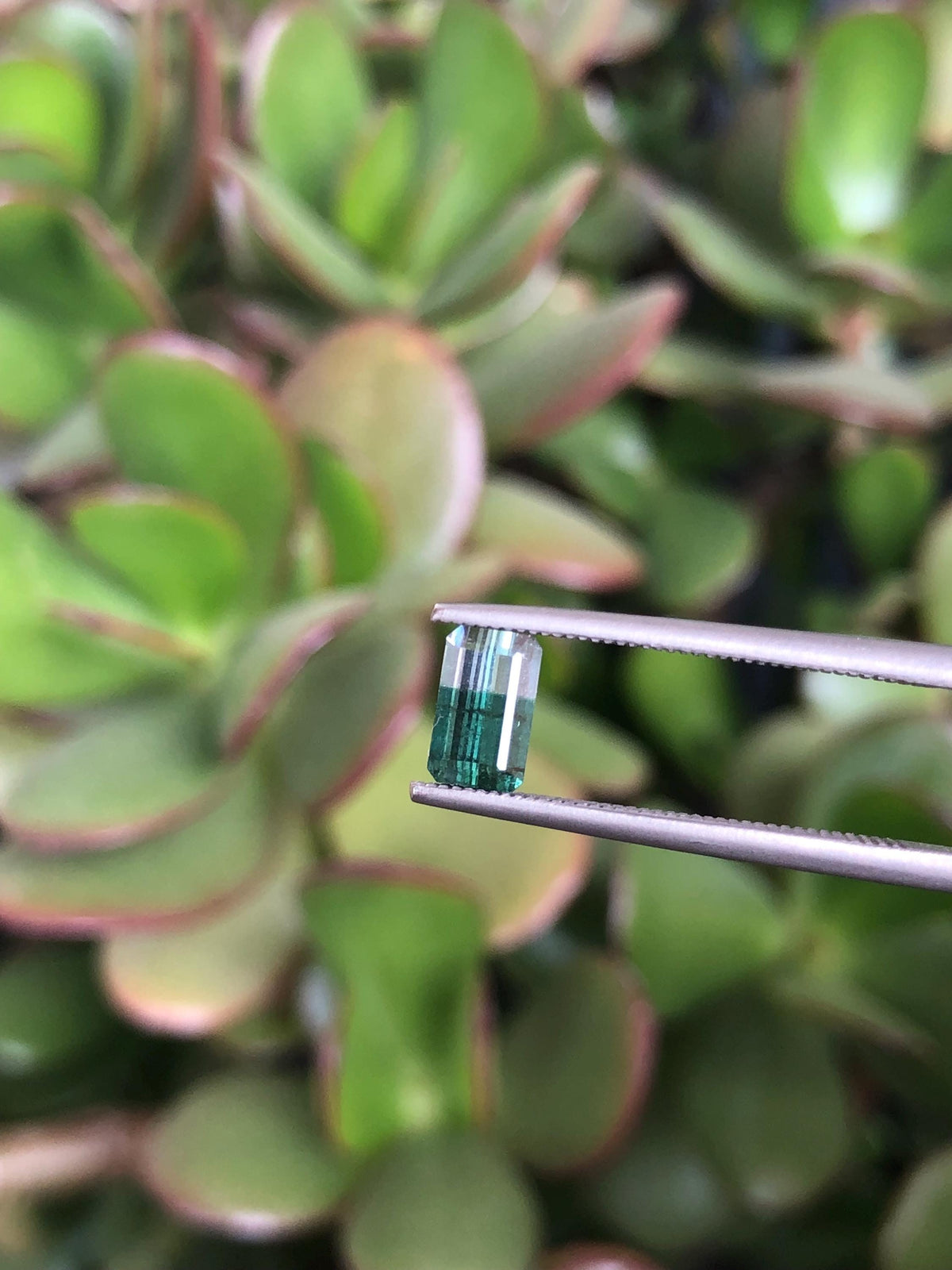 Natural Green Bicolor Tourmaline 0.63 ct, Afghanistan