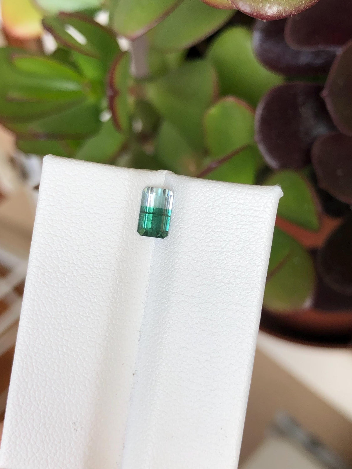 Natural Green Bicolor Tourmaline 0.63 ct, Afghanistan