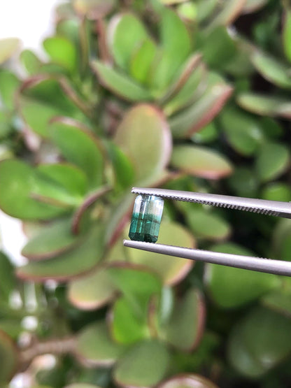 Natural Green Bicolor Tourmaline 0.63 ct, Afghanistan