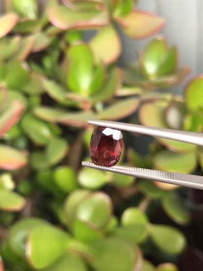 Natural Red Zircon 3.98 ct, Tanzania