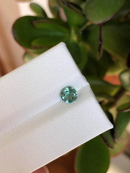 Natural Mint Green Tourmaline 0.59 ct