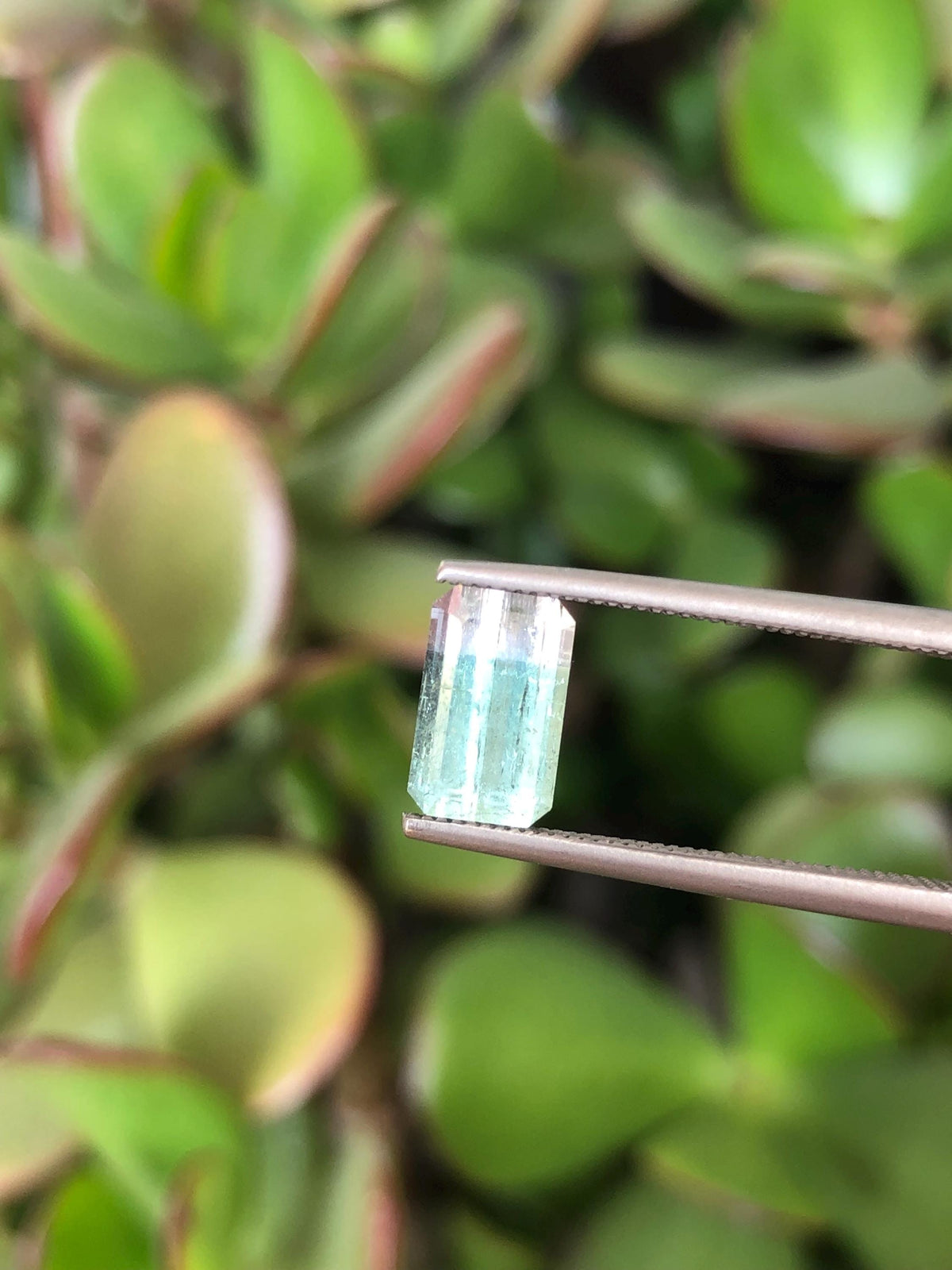 Natural Bicolor Aqua Blue Tourmaline Pair 3.57 ct