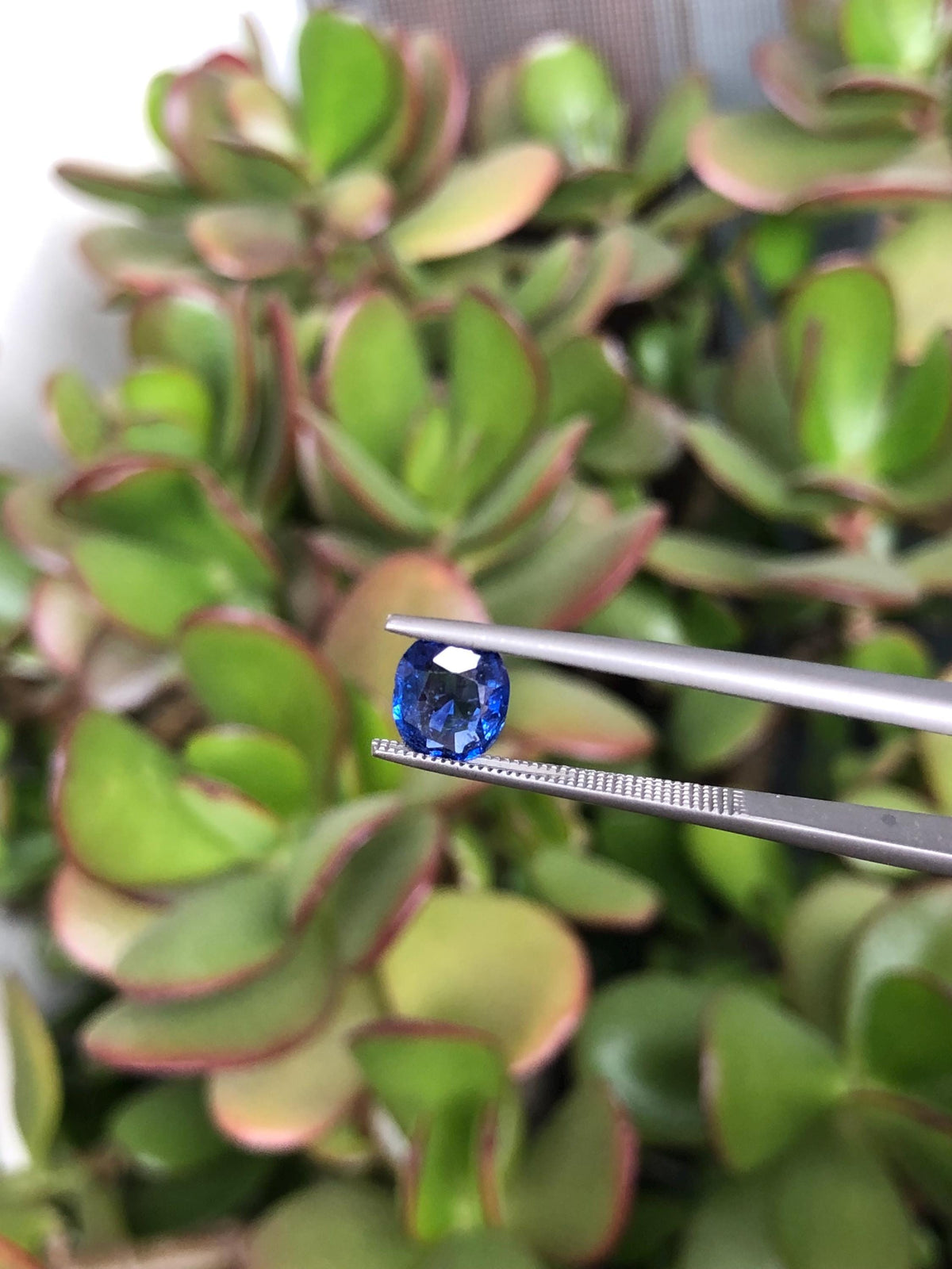 Natural Blue Sapphire 1.26 ct, Sri Lanka