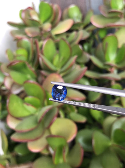 Natural Blue Sapphire 1.26 ct, Sri Lanka