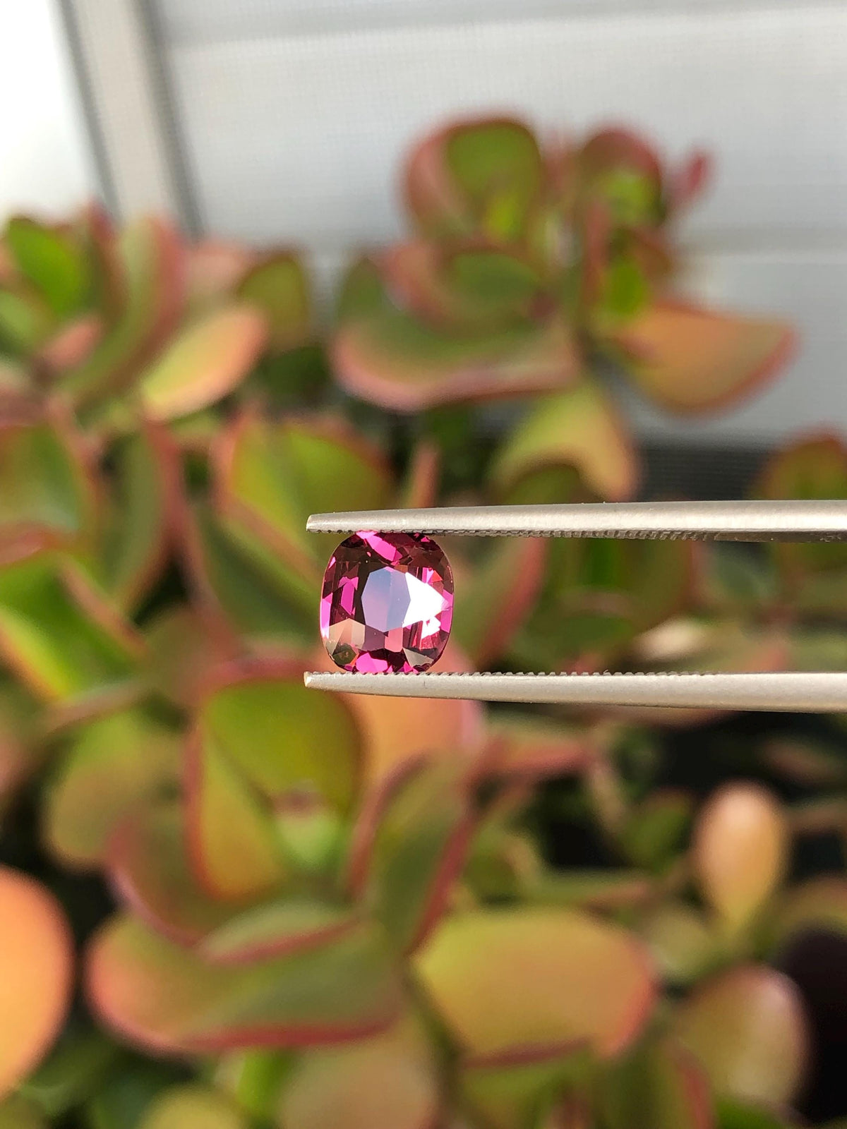 Natural Red Garnet 1.50 ct, Tanzania